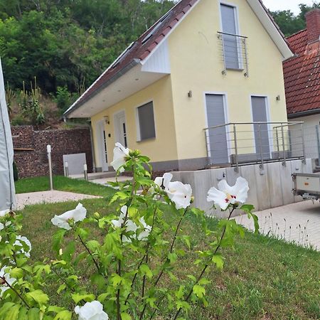 Ferienhaus Saaleblick Wettin Esterno foto