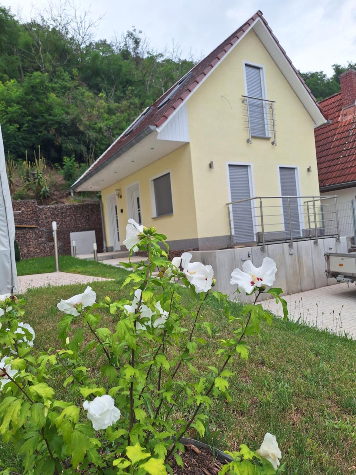 Ferienhaus Saaleblick Wettin Esterno foto